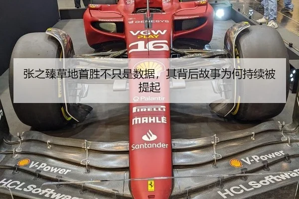 张之臻草地首胜不只是数据，其背后故事为何持续被提起 - nangong